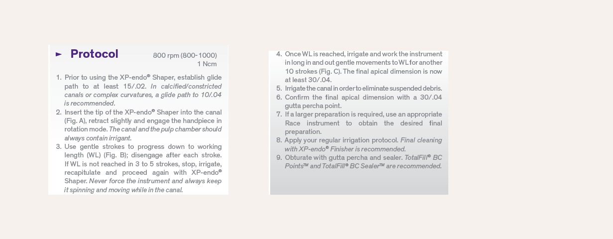 xp endo solutions 5